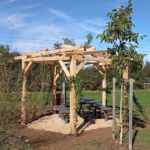 Pergola en bois dans un parc verdoyant.