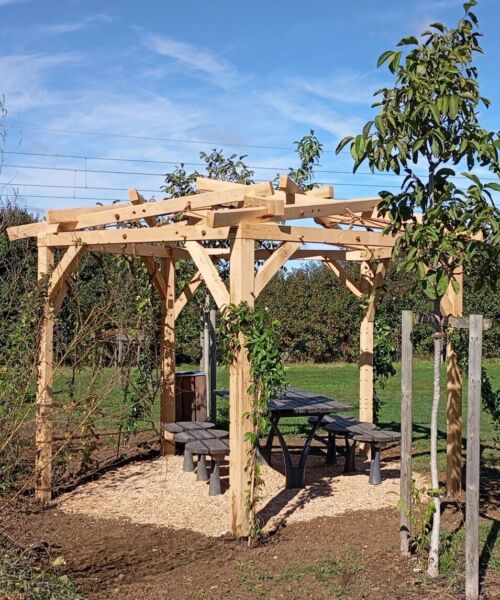 Pergola en bois dans un parc verdoyant.