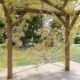 Pergola en bois avec fleurs grimpantes.