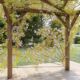 Pergola fleurie dans un jardin verdoyant.